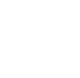 Таможенные услуги